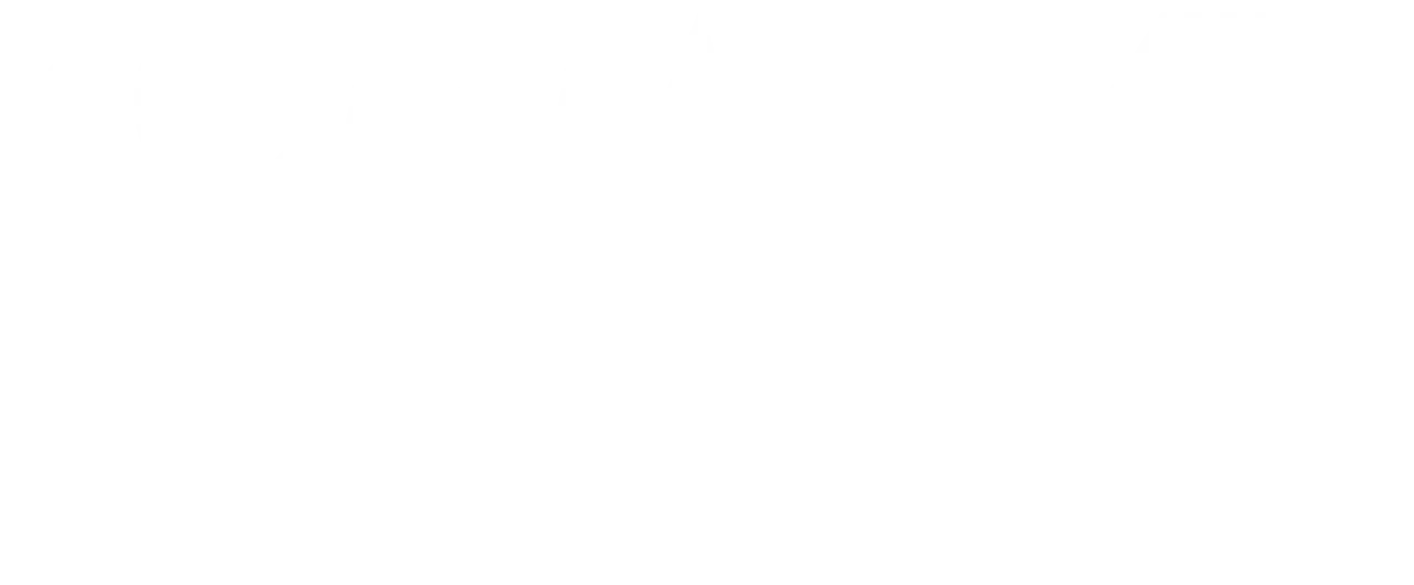 Kommissær Dupin